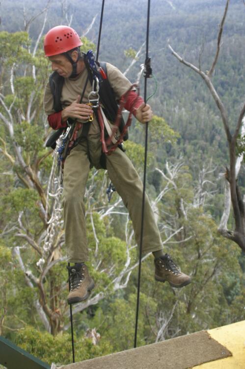 Phil, one of the core group of volunteers, adjusts his gear ready for the descent from the Global Rescue Station tree in Tasmania's Styx Valley [picture] / June Orford