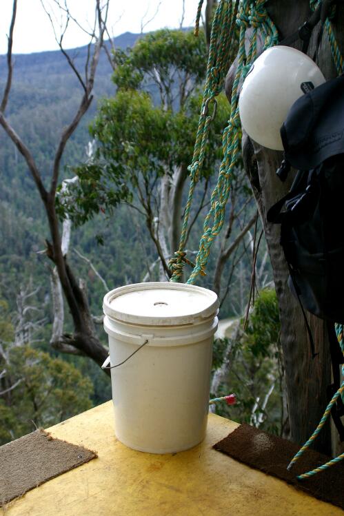 The loo with a view, Global Rescue Station Tree in the Styx Valley, Tasmania. When it is necessary to sit, the normal safety gear is replaced with a chest harness [picture] / June Orford