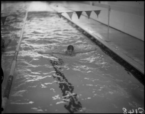 [A male butterfly swimmer, Olympic Games, Melbourne, 29 November 1956] [picture]