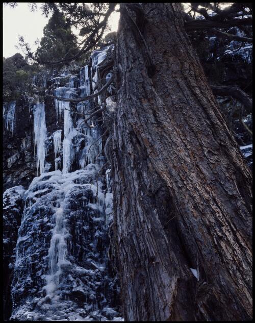 Frozen waterfall, Walls of Jerusalem National Park, Tasmania, 1984 [transparency] / Peter Dombrovskis