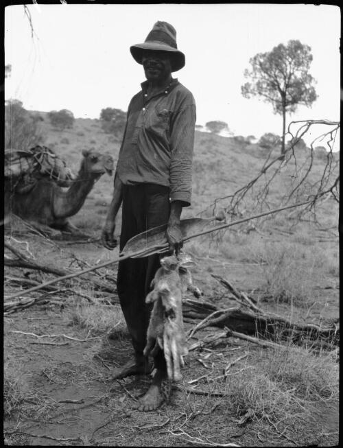 Jack holding a spear, a woomera and recently captured rabbits, Western Australia, 1932 [picture] / Michael Terry