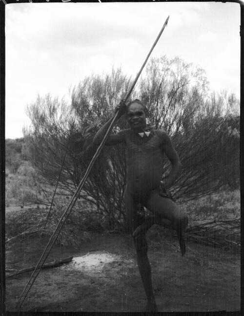 Aboriginal man with body scarring holding spears, Western Australia, 1932 [picture] / Michael Terry