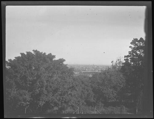 Sydney through the trees at Chip Chase, Wollstonecraft, New South Wales, 1920 / Michael Terry