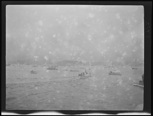 Farm Cove as the Prince of Wales landed, Sydney Harbour, 16 June 1920 / Michael Terry