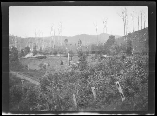 Ranges near Burringbar, New South Wales, 1920, 3 / Michael Terry