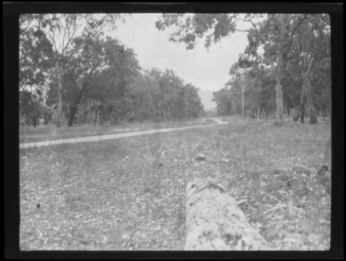 Old Grafton Road at the 61 mile point, Glen Innes Region, New South Wales, 1921 or 1922/ Michael Terry