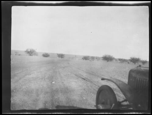 On the Ayrshire Downs near Winton, Queensland, 1923 / Michael Terry