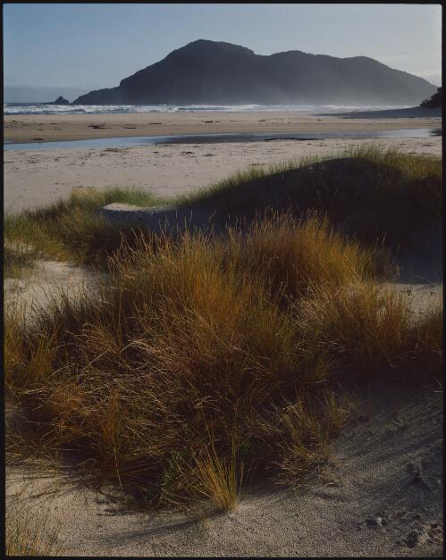 Morning at Surprise Bay, south coast, Tasmania, 1985?, 1 [transparency] / Peter Dombrovskis