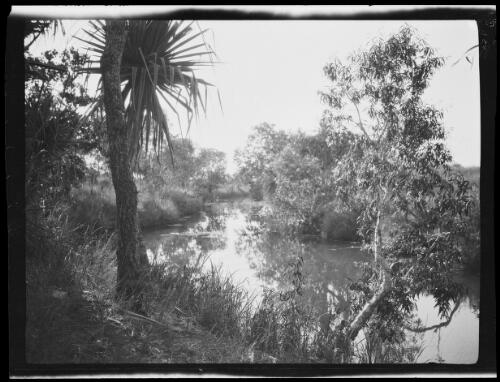 Billabong at Montejinni, Northern Territory, 1925, 2 / Michael Terry