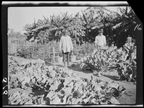 Jack Carpenter with an Aboriginal Australian man in the vegetable garden at Montejinni, an outstation of Victoria River Downs, Northern Territory, 1925 / Michael Terry