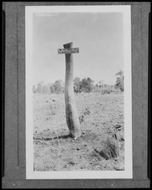 Tree trunk being used a sign post, Northern Territory, approximately 1925 / Michael Terry