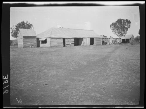 Corrugated iron buildings, Wave Hill, Northern Territory, approximately 1925 / Michael Terry