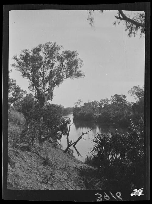 View through trees to a river, Wave Hill, Northern Territory, approximately 1925 / Michael Terry