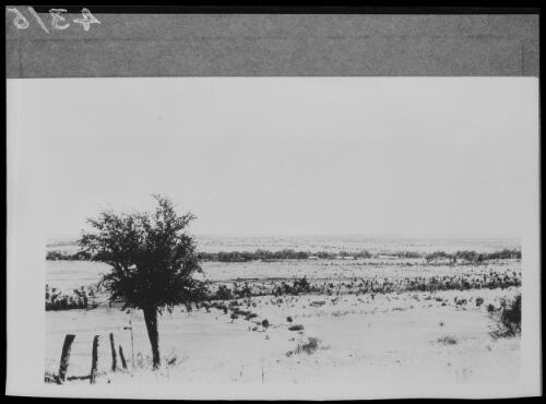 View across plains, Wave Hill, Northern Territory, approximately 1925 / Michael Terry