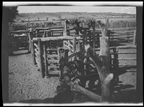Stockyards at Wave Hill Station, Northern Territory, approximately 1925, 1 / Michael Terry