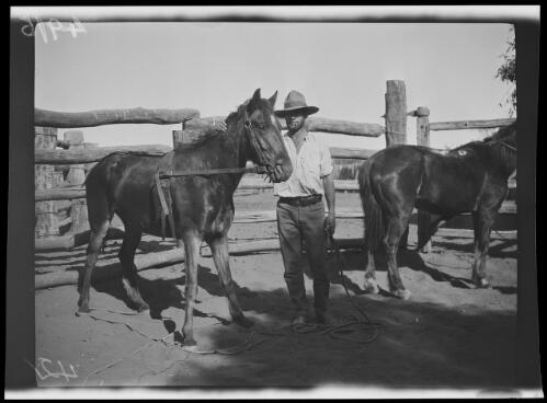 Stockyards at Wave Hill Station, Northern Territory, approximately 1925, 3 / Michael Terry
