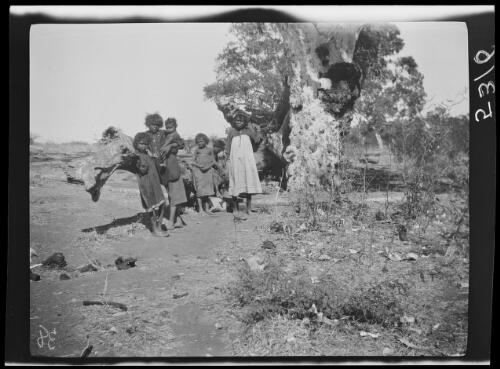 Aboriginal children standing in front of a tree trunk, Wave Hill, Northern Territory, 1925 / Michael Terry
