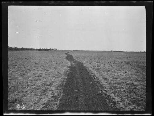 Track left by a plough near Wave Hill, Northern Territory, 1925 / Michael Terry