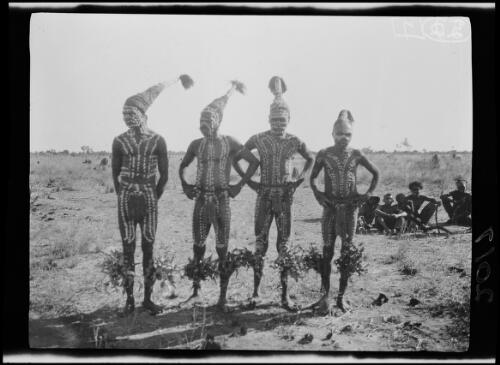 Four Aboriginal Australian men in headdress and flax on their bodies ready to dance, Billiluna, Western Australia, 1925 / Michael Terry