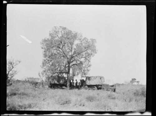 Expedition members and their vehicles parked under the shade of a tree, Western Australia, 1925 / Michael Terry