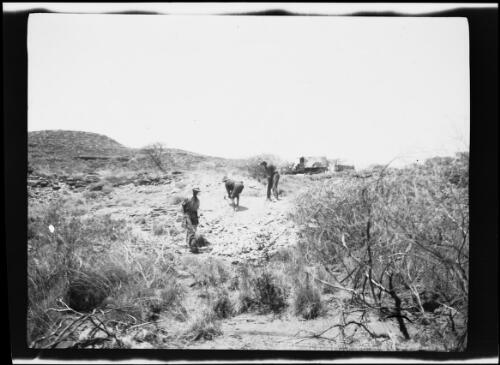 Three men of the expedition team examining a side of a hill, Western Australia, 1925, 1 / Michael Terry