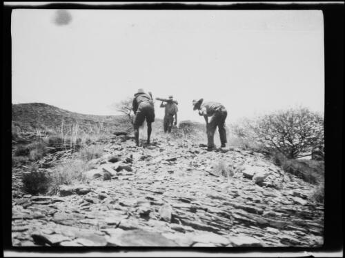 Three men of the expedition team examining a side of a hill, Western Australia, 1925, 2 / Michael Terry