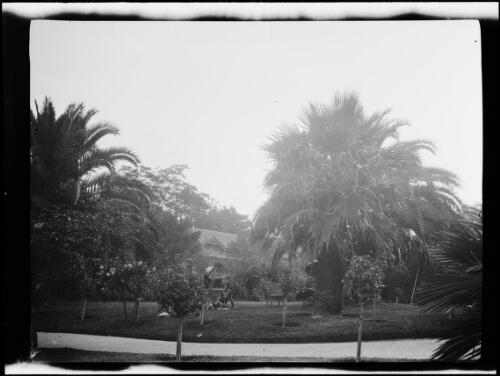 Backyard and garden of the two storey house in Perth, Western Australia, 1925 / Michael Terry