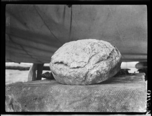 Provisions on display at a campsite, Western Australia?, 1928, 3 / Michael Terry