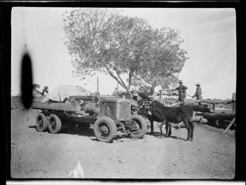 Two donkeys standing in front of the expedition's Morris Commercial truck, Tanami, Northern Territory, 1928 / Michael Terry
