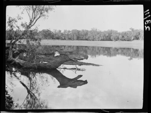 View of Tambulbudee waterhole, Fitzroy River, Western Australia, 1928 / Michael Terry