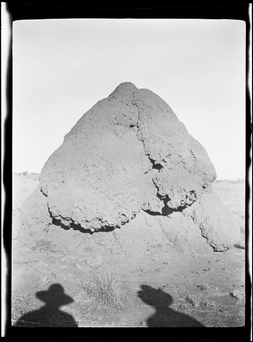 Giant termite mound in the desert, Tanami region, Northern Territory, 1928 / Michael Terry