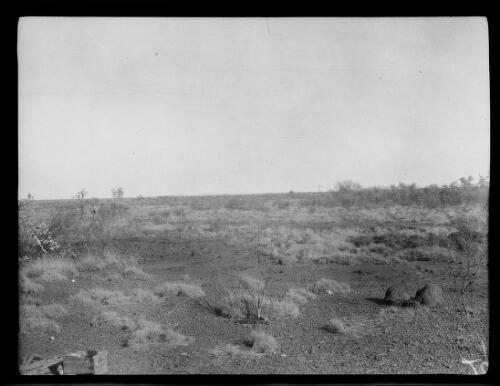 Towards Red Hill from camp at Ivy Leases, Tanami Desert, Northern Territory, 1928 / Michael Terry