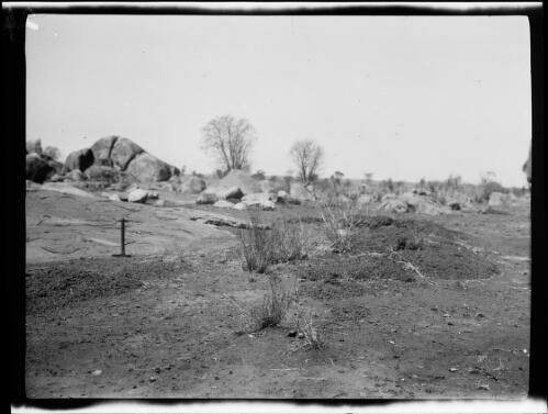 Scrubland near Thomsons Rockhole, Northern Territory, 1928 / Michael Terry