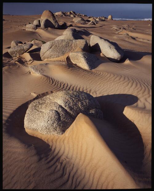 Dunes and granite, Tarkine Wilderness, Tasmania, 1992 [transparency] / Peter Dombrovskis