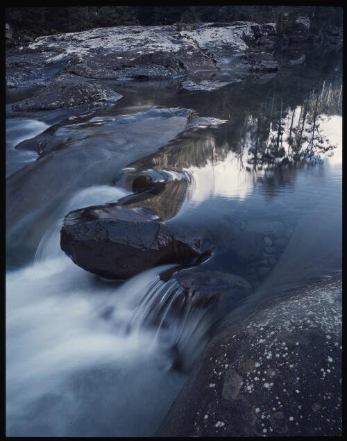 Morning reflections on the Douglas River, Douglas-Apsley National Park, Tasmania, 1992, 3 [transparency] / Peter Dombrovskis
