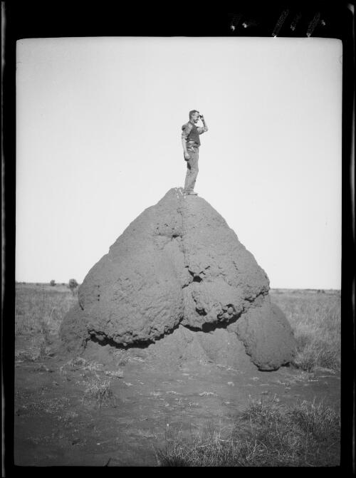 Expedition member surveying the landscape from the top of a termite mound, Central Australia?, approximately 1930 / Michael Terry