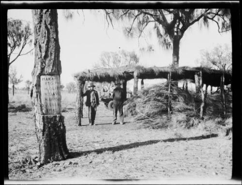 Two expedition members at the bough shed of the 1926 Mackay Prospecting Party, Central Australia?, approximately 1930 / Michael Terry