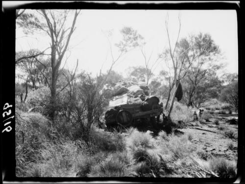 Expedition's Morris Commercial truck and dog among scrubland mulga trees, Warburton Range, Western Australia, 1931 / Michael Terry