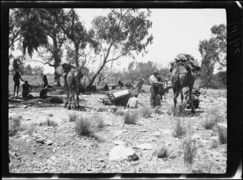 Aboriginal tribe with the expedition and their camels at a soakage, Western Australia, 1932 / Michael Terry