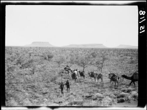 Expedition's camel train passing through Gunadjarrayi, Nyrripi region, Northern Territory, 1933 / Michael Terry