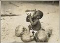 Boy, Torres Straits [drinking from a coconut] [picture] / Frank Hurley
