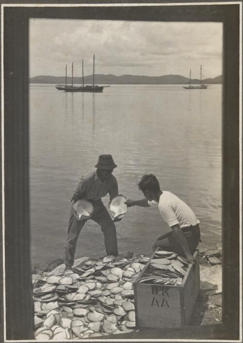 Thursday Island [two men packing pearl shells into a box] [picture] / Frank Hurley