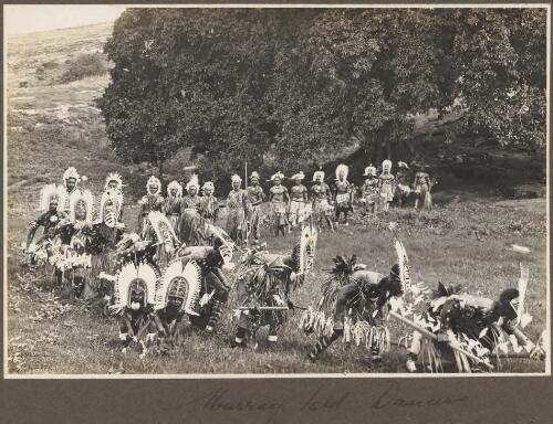 Murray Island dancers [picture] / Frank Hurley