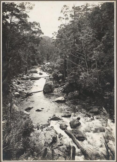 Headwaters of the Vanapa River, Papua New Guinea [picture]