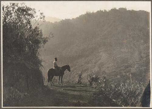 [Horse and rider on a ] track, Ononge, Papua New Guinea [picture]