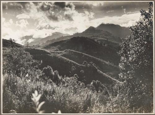 Looking back to Mount Tafa from Ononge, [1] [picture] / Frank Hurley