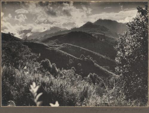 Looking back to Mount Tafa from Ononge, [2] [picture] / Frank Hurley