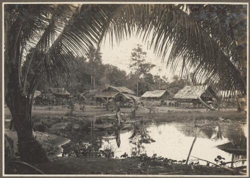 Village of Ambasi, [Papua New Guinea, 2] [picture]