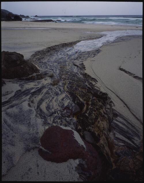 Coastal stream, southwest Tasmania, 1995 [transparency] / Peter Dombrovskis