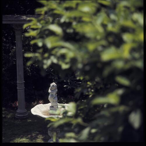 [A stone putti fountain in front of a curved colonnade and rhododendrons, ca. 1971] [transparency] / David Beal